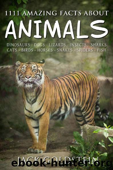 1111 Amazing Facts about Animals by Jack Goldstein