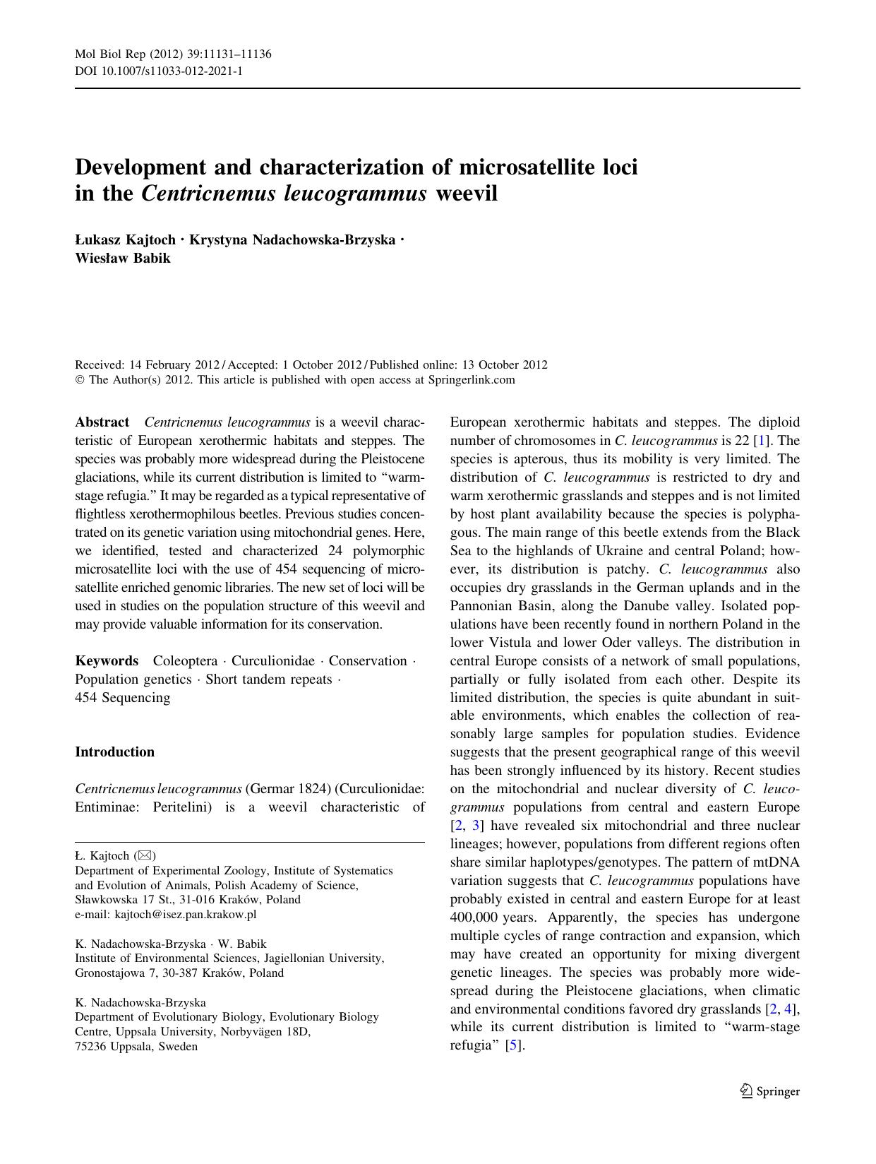 11131-11136 by Unknown