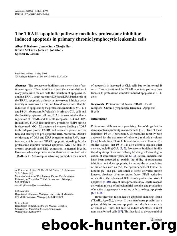 1175-1193 by Unknown