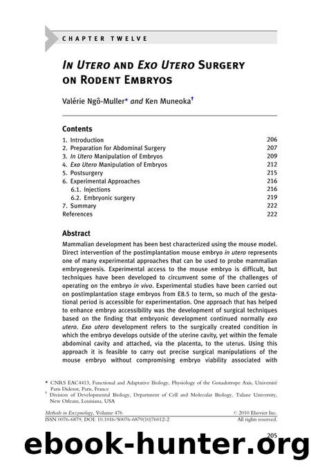 12 - In Utero and Exo Utero Surgery on Rodent Embryos by Valérie Ngô-Muller & Ken Muneoka