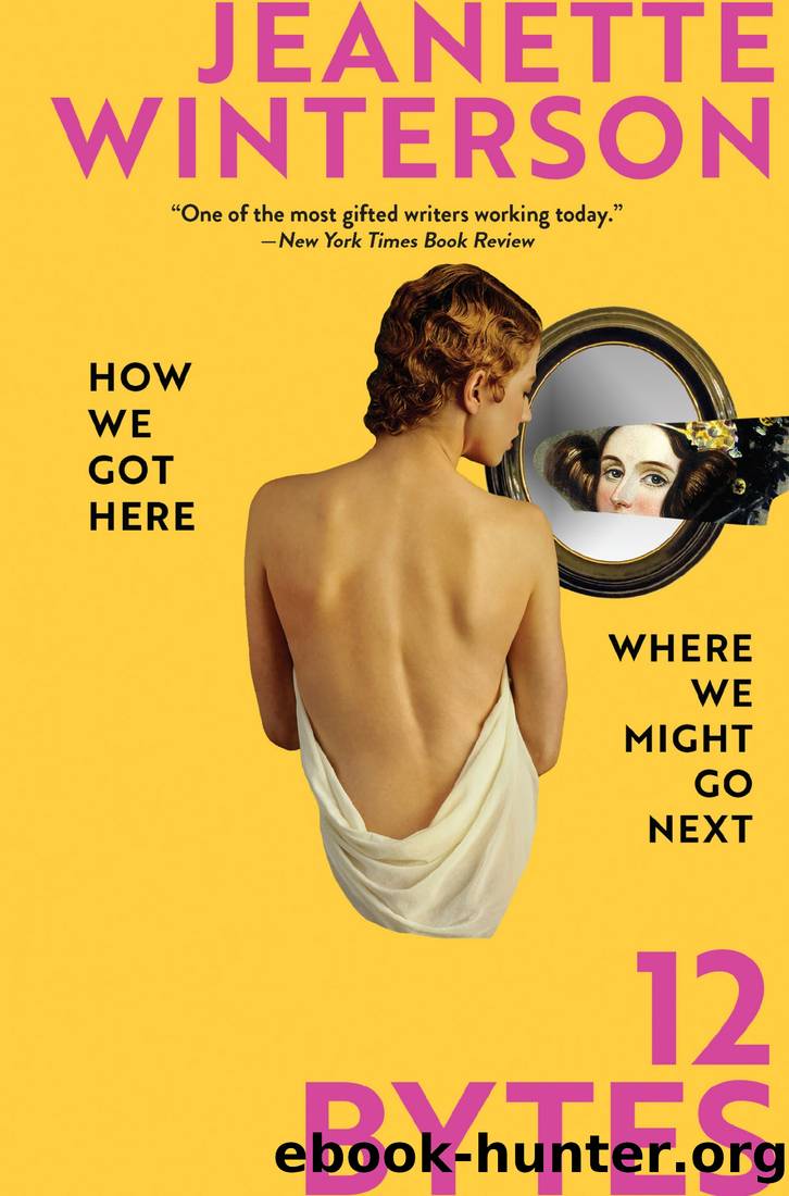 12 Bytes: How We Got Here. Where We Might Go Next by Jeanette Winterson