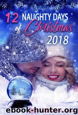 12 Naughty Days of Christmas 2018 by unknow