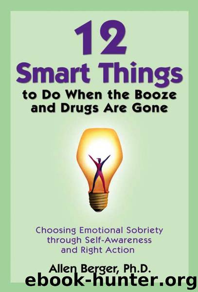 12 Smart Things to Do When the Booze and Drugs Are Gone by Allen Berger