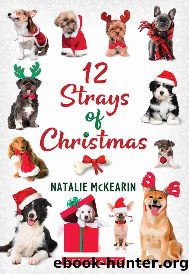 12 Strays of Christmas by Natalie McKearin