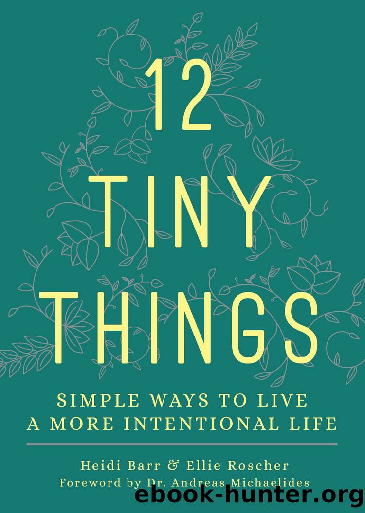 12 Tiny Things by Heidi Barr