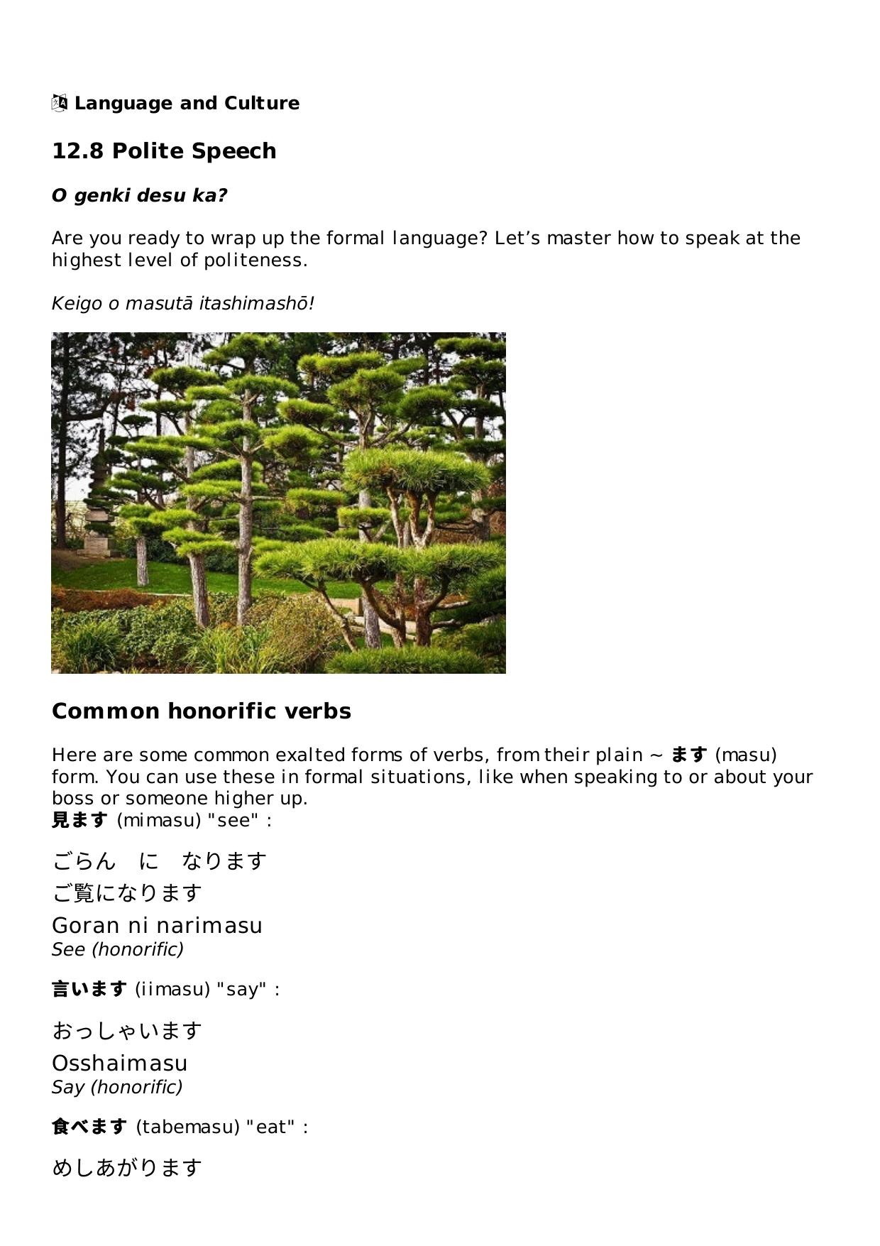 12.8 Polite Speech Lesson | Rocket Japanese by Unknown