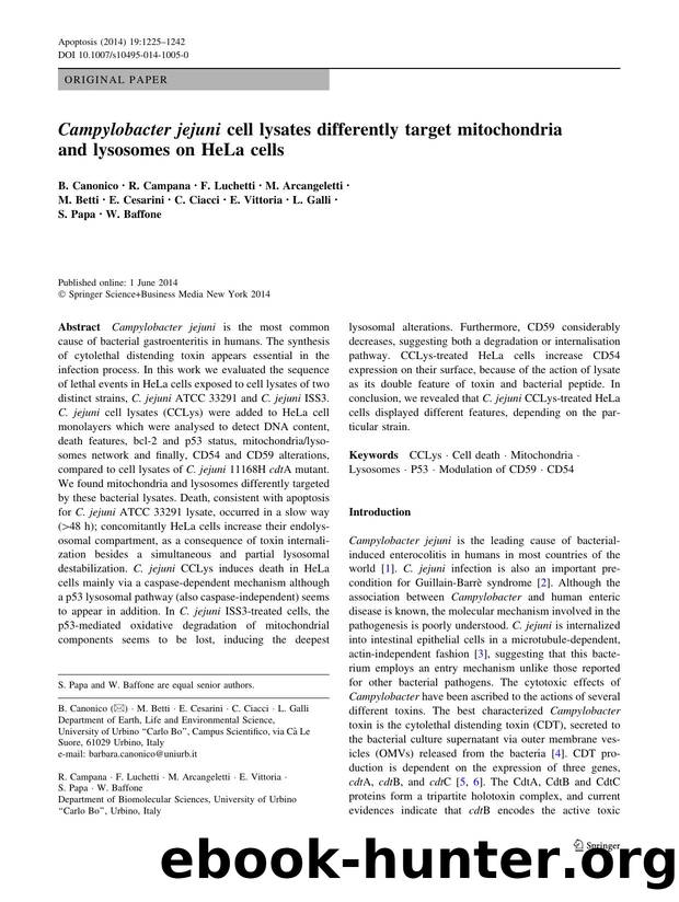 1225-1242 by Unknown