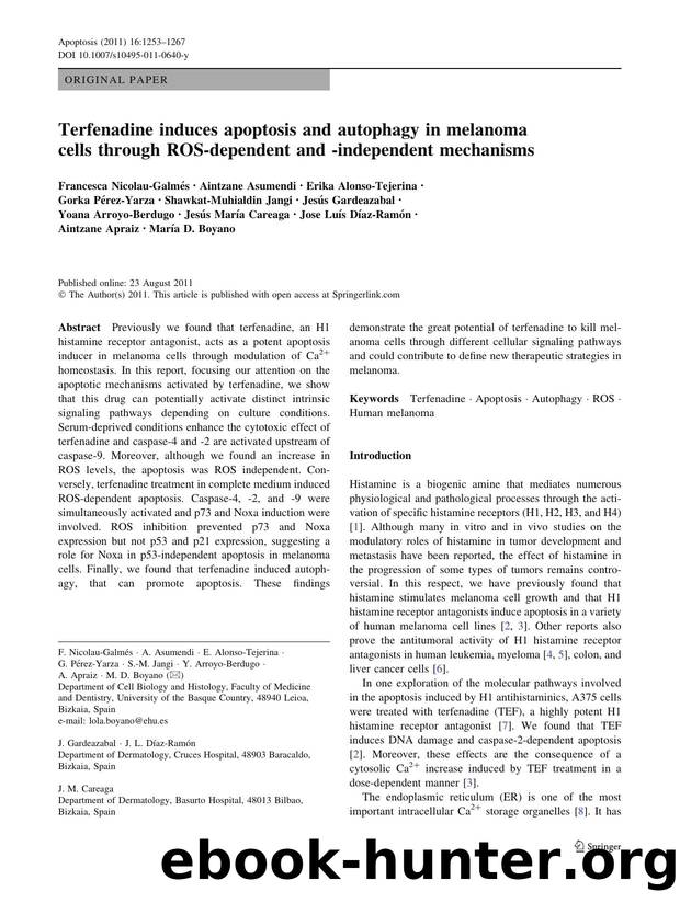 1253-1267 by Unknown