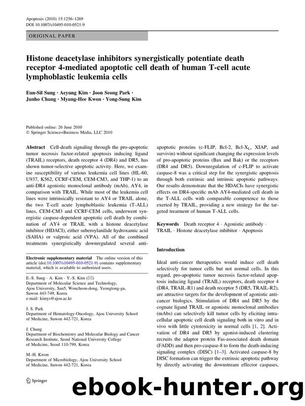 1256-1269 by Unknown