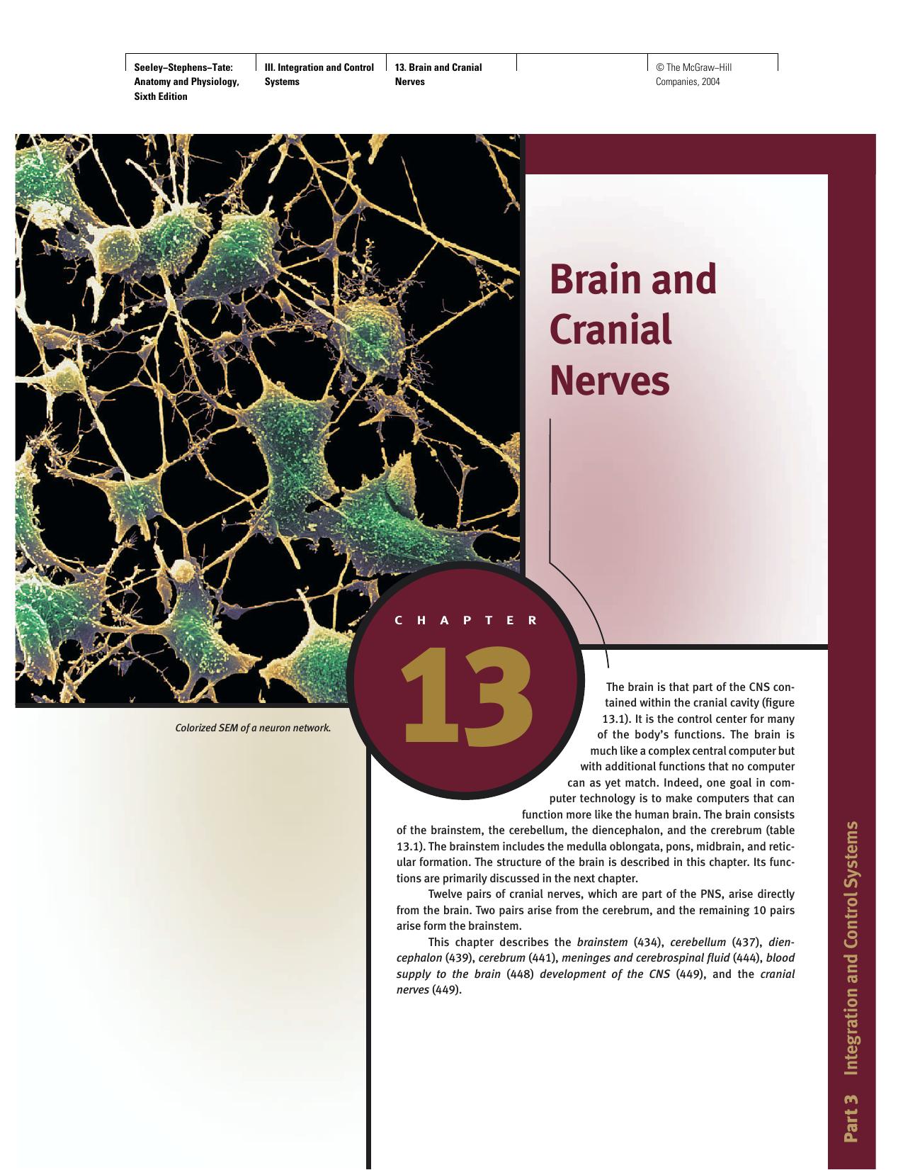 13 Brain and Cranial Nerves by Unknown