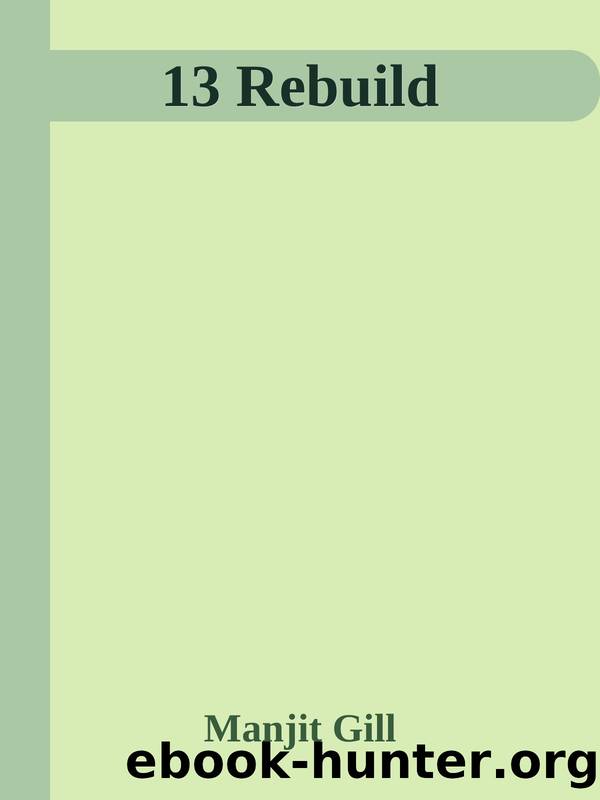 13 Rebuild by Stuart Grosse