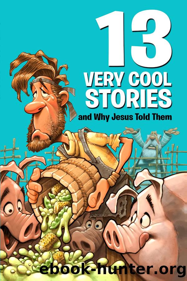 13 Very Cool Stories and Why Jesus Told Them by Mikal Keefer