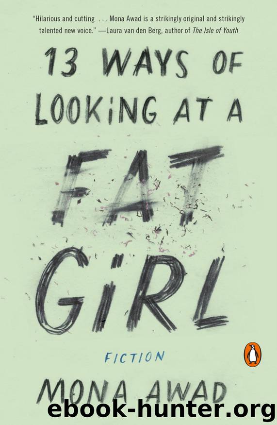 13 Ways of Looking at a Fat Girl: Fiction by Mona Awad
