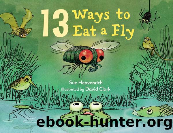 13 Ways to Eat a Fly by Sue Heavenrich