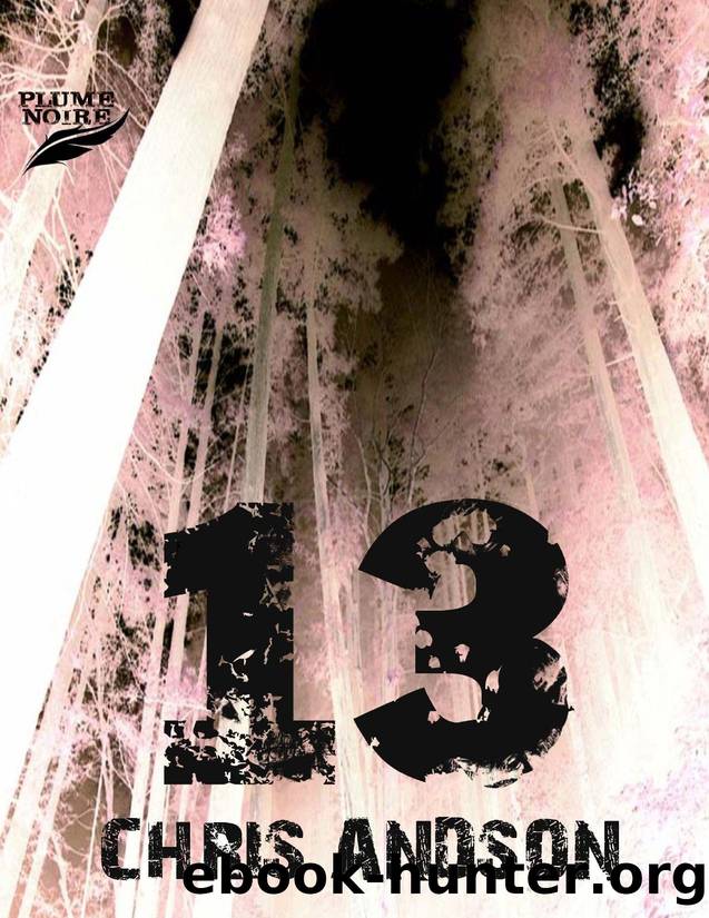 13 by Chris Andson