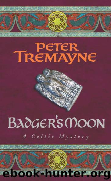 13- Badger's Moon by Peter Tremayne