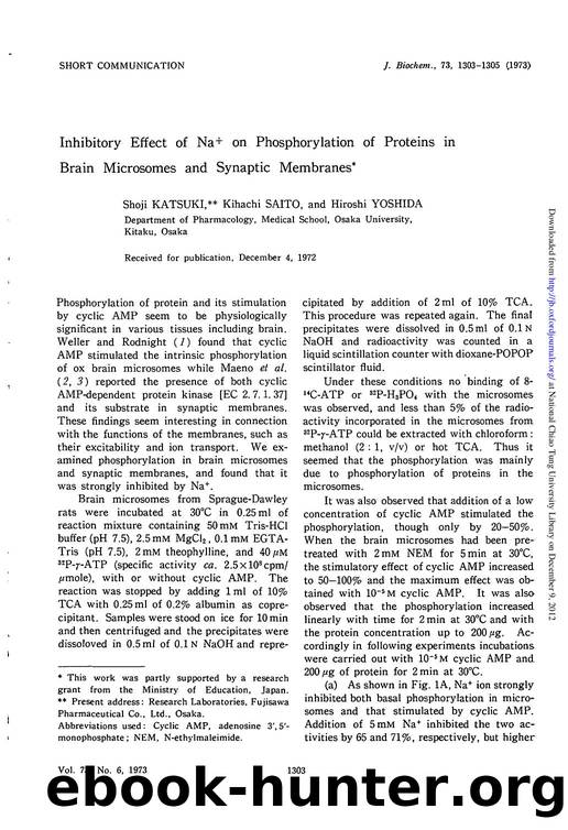 1303-1305 by Unknown