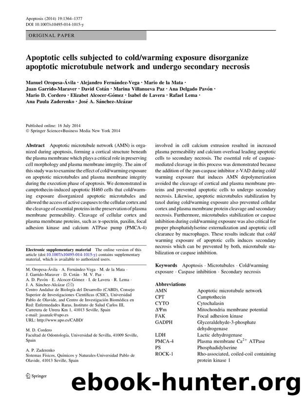 1364-1377 by Unknown