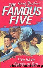 14 Five Have Plenty of Fun by Enid Blyton