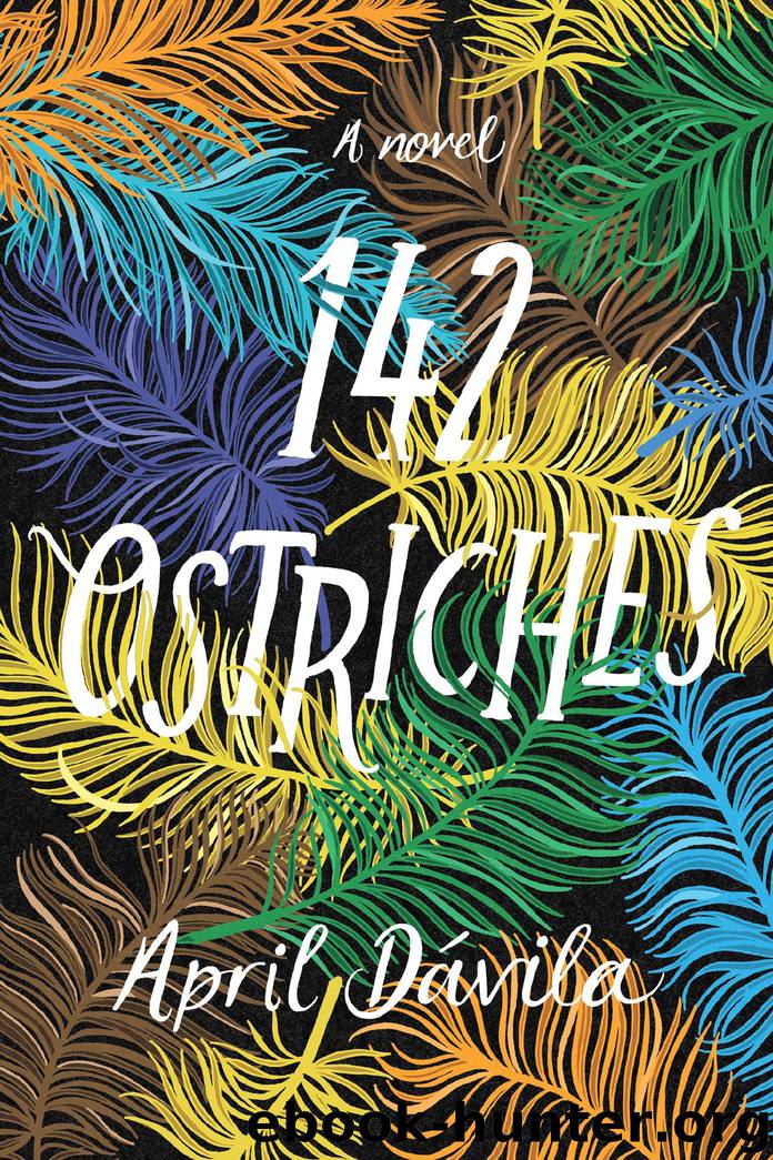 142 Ostriches by April Davila