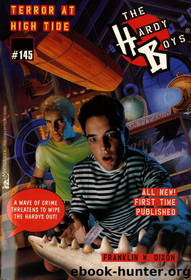 145 Terror At High Tide by Franklin W. Dixon