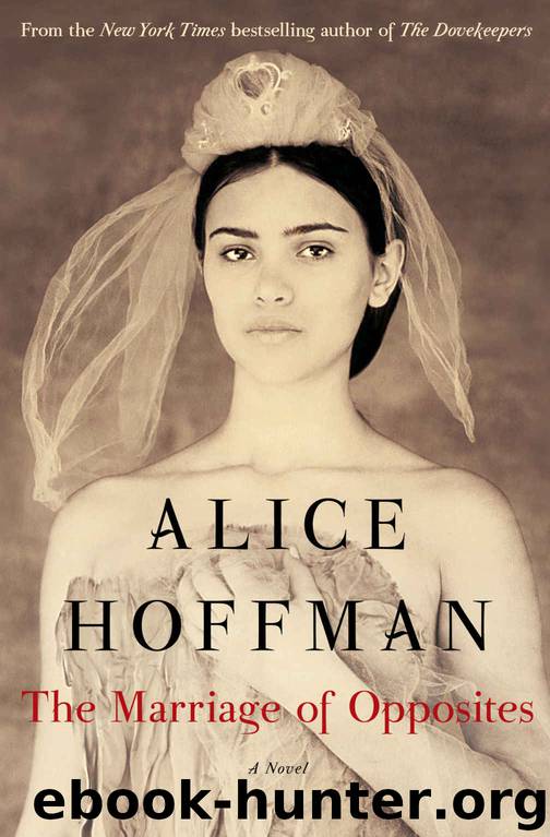 1451693591 by Alice Hoffman