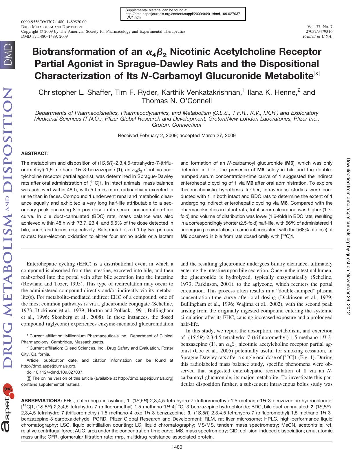 1480-1489 by Unknown