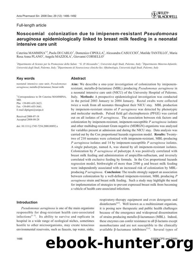 1486-1492 by Unknown