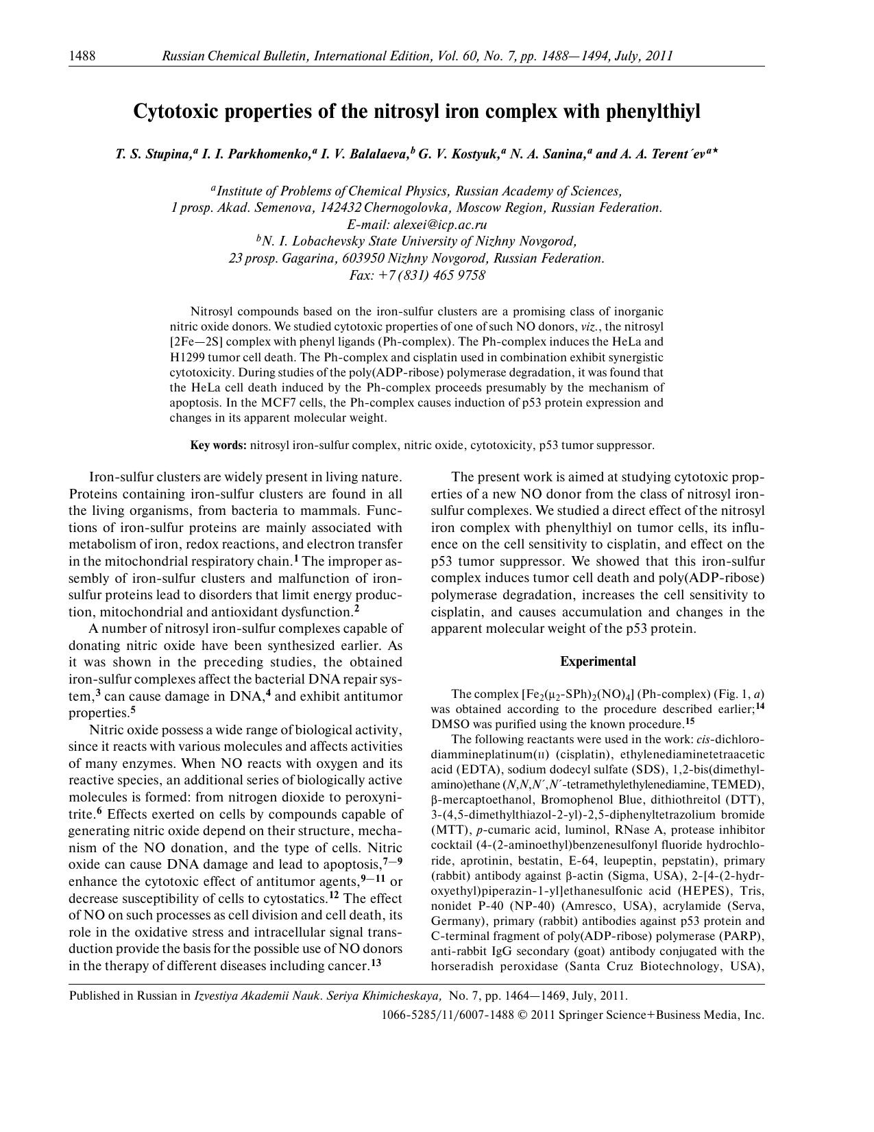 1488-1494 by Unknown