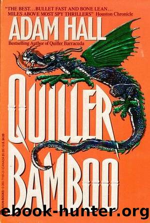 15 Bamboo by Quiller Bamboo (epub)