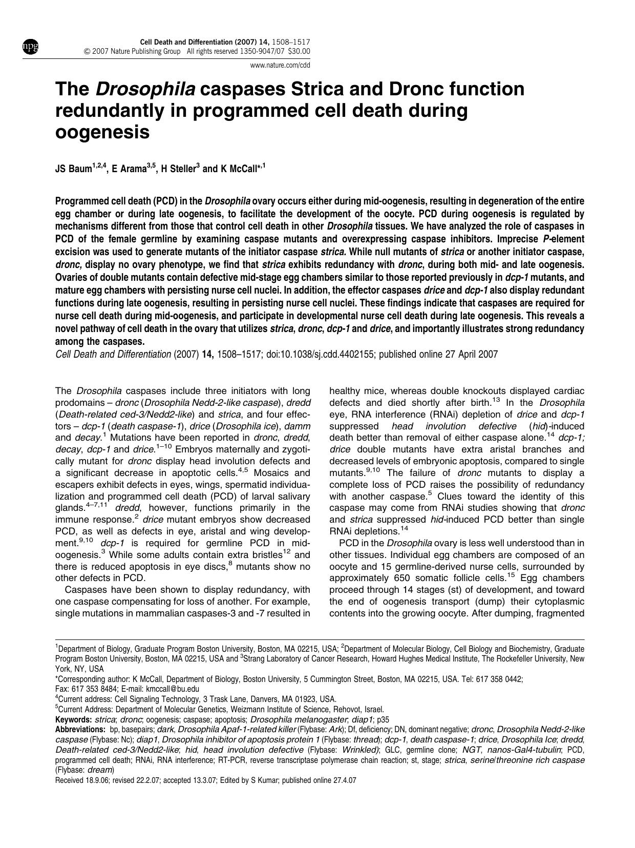 1508-1517 by Unknown