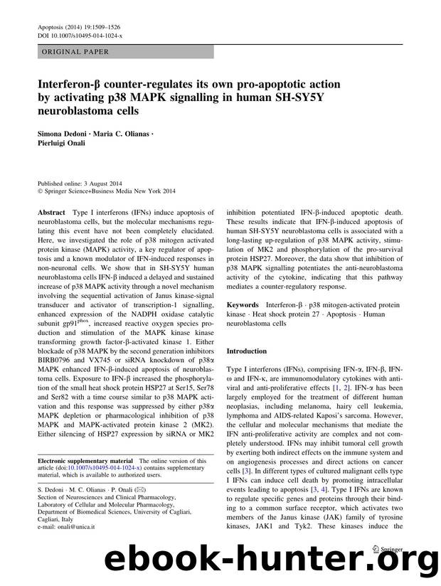 1509-1526 by Unknown