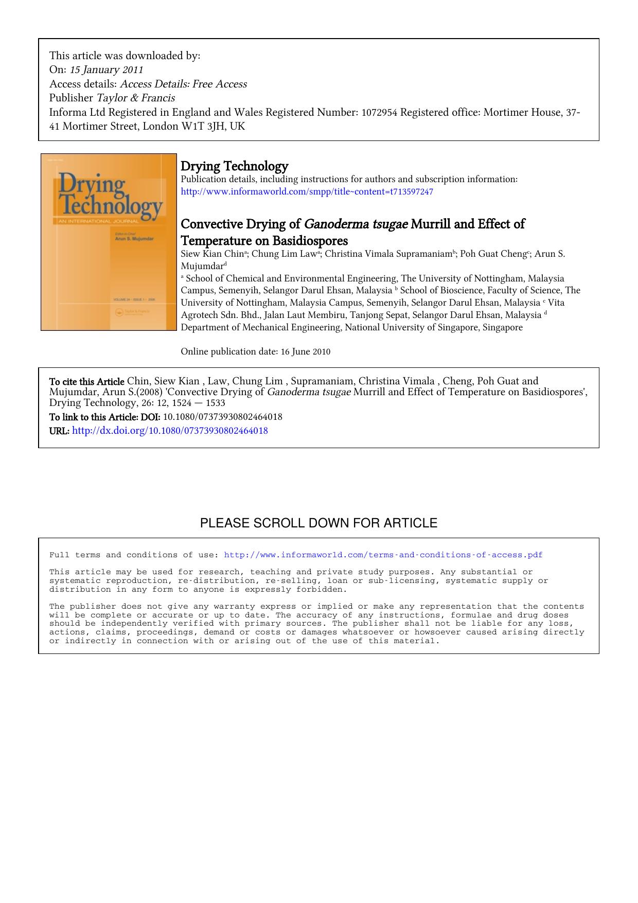 1524-1533 by Unknown