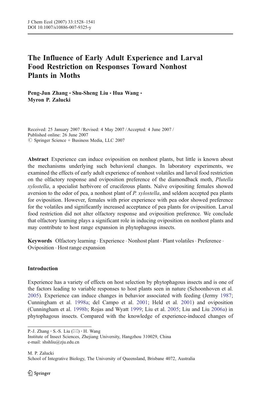 1528-1541 by Unknown