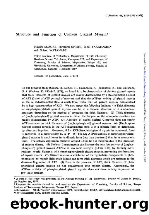 1529-1542 by Unknown