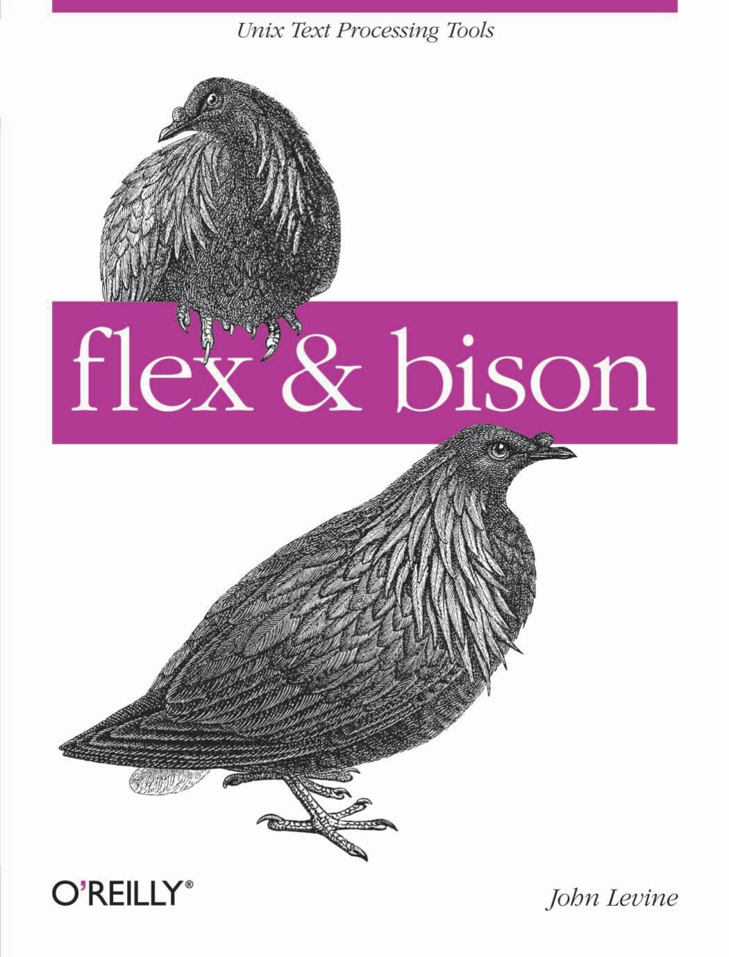 15597 Flex and Bison by Unknown