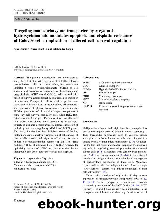 1574-1585 by Unknown