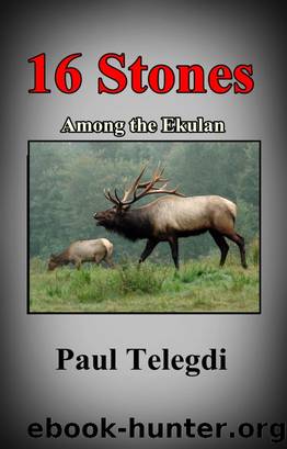 16 Stones by Paul Telegdi