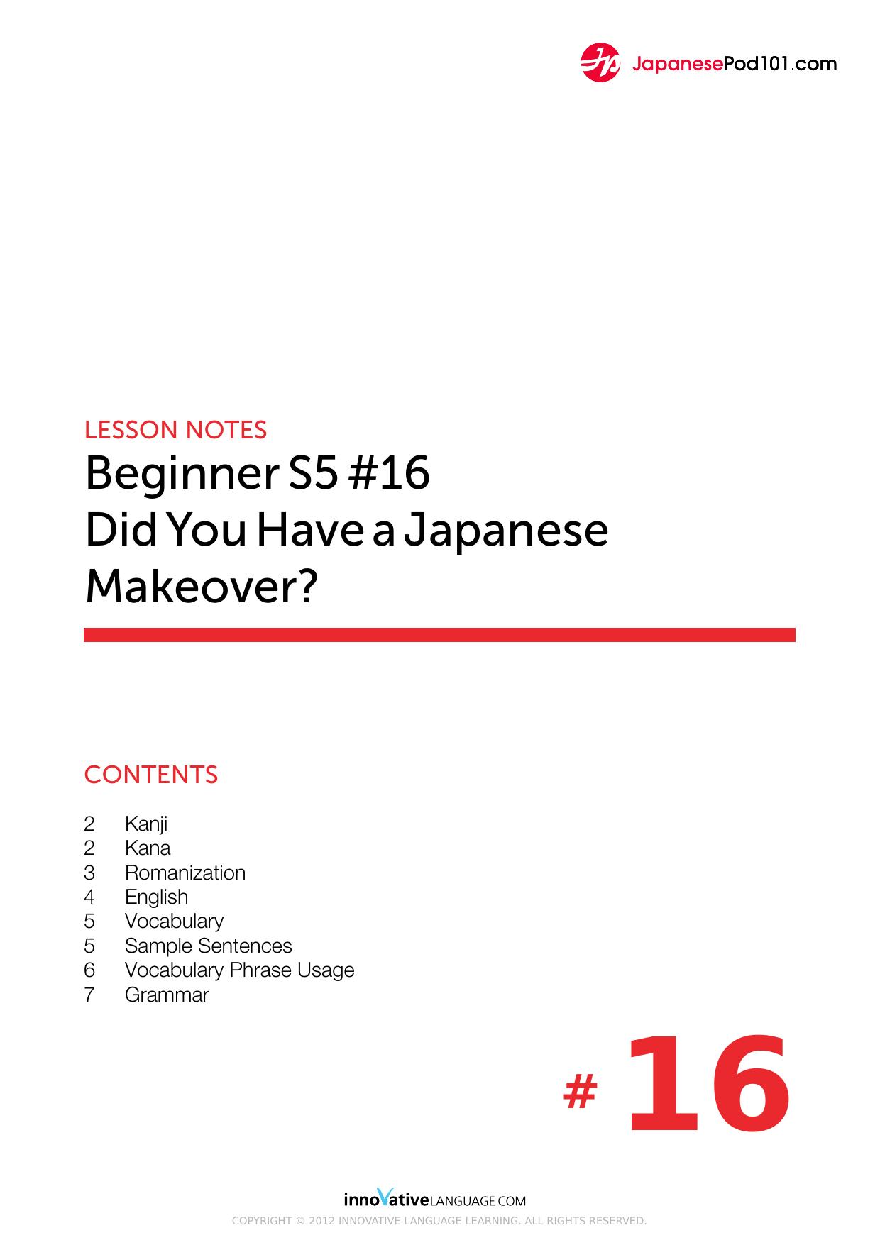 16. Did You Have a Japanese Makeover by Lesson Notes