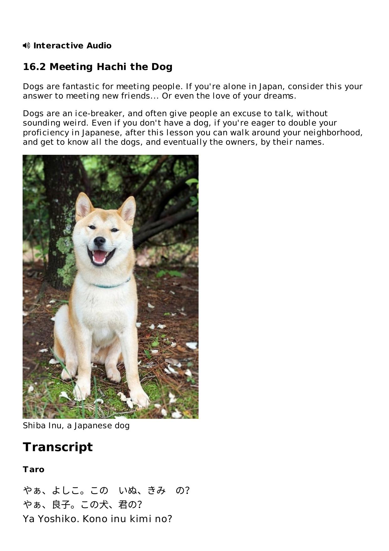 16.2 Meeting Hachi the Dog Lesson | Rocket Japanese by Unknown