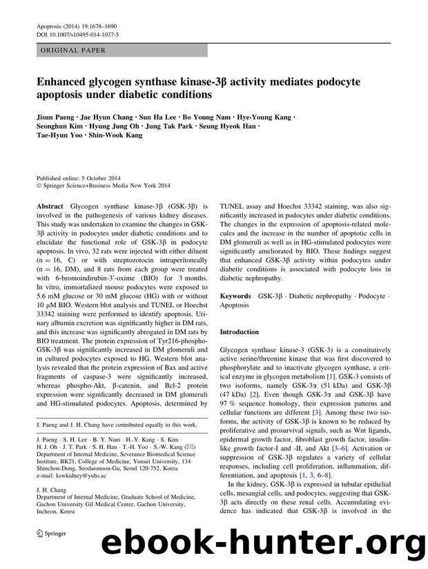 1678-1690 by Unknown