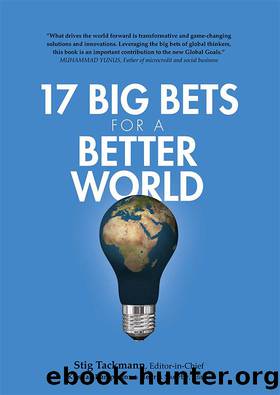 17 Big Bets for a Better World by Tackmann Stig;Kampmann Kristian;Skovby Henrik;