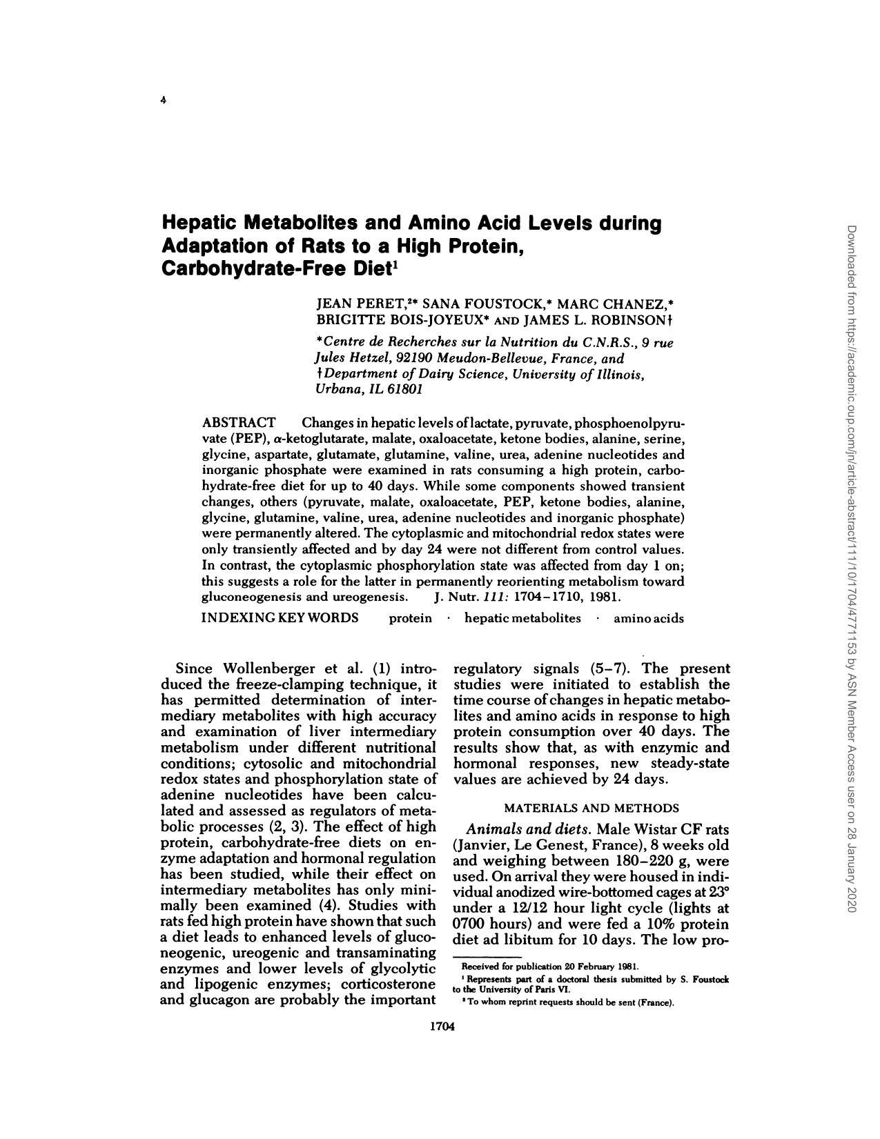 1704-1710 by Unknown