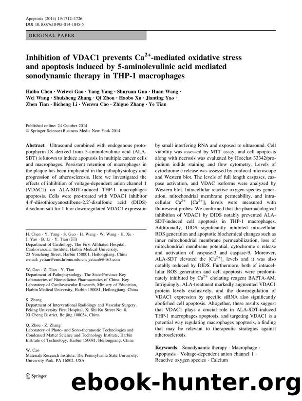 1712-1726 by Unknown