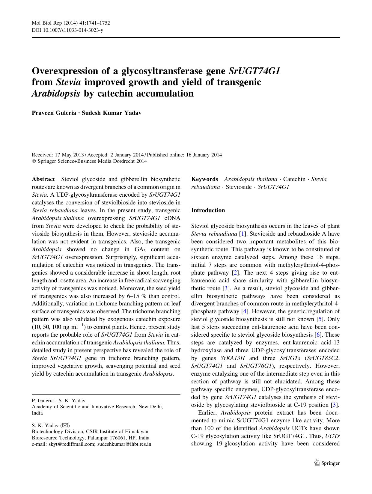 1741-1752 by Unknown