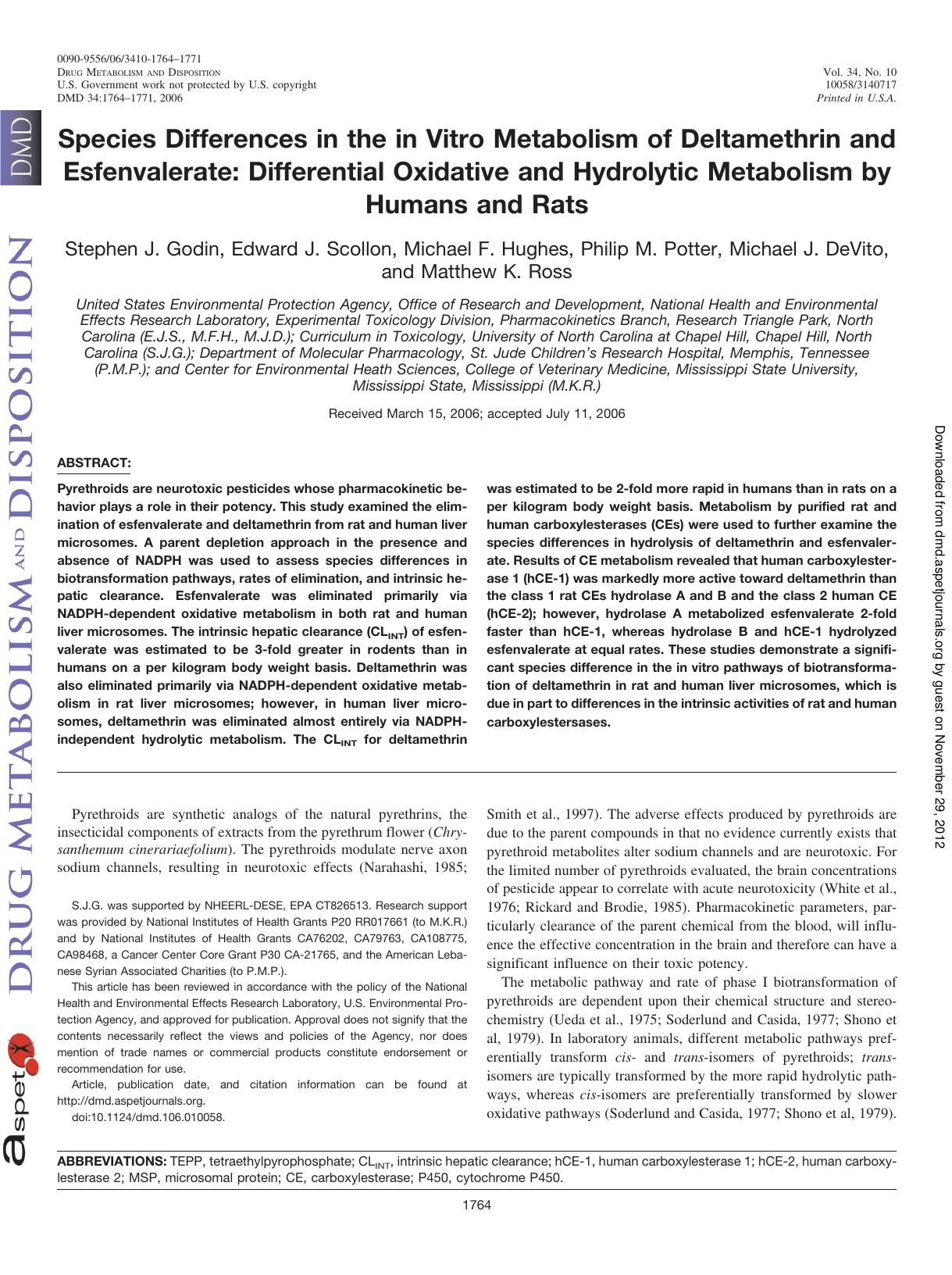 1764-1771 by Unknown