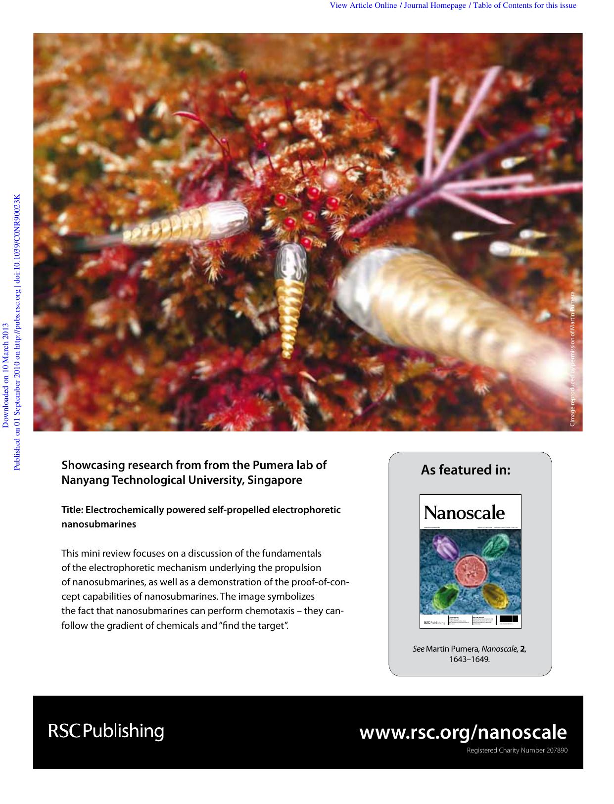 1795-1796 by Unknown