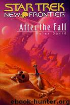 18 After the Fall by Peter David