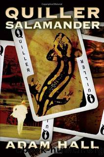 18 Salamander by Unknown