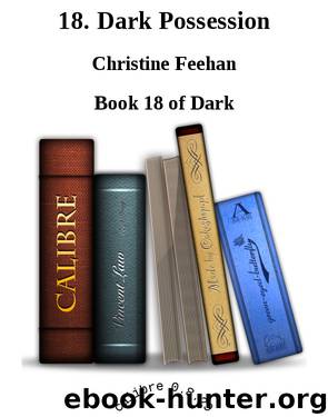 18. Dark Possession by Christine Feehan